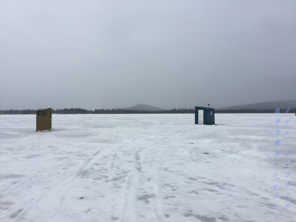 北极5天4晚旅游攻略,美国阿拉斯加6日游