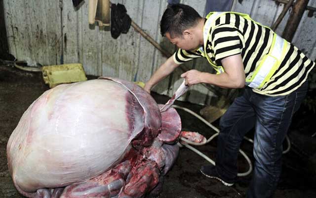 全是添加剂你还敢吃吗,十种添加剂最好不要吃