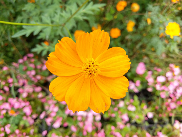 文本直送科技新闻:宏达电旗舰智慧型手机「HTC10」崭新体验，十分完美！