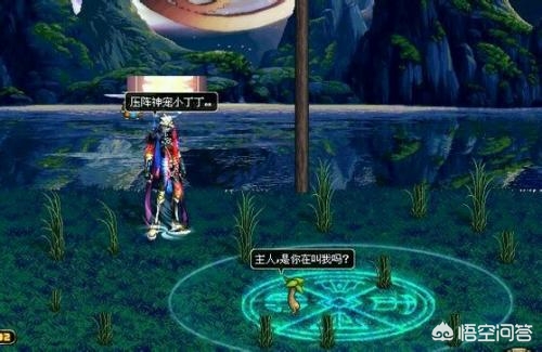 dnf十大最高逼格宠物,dnf历年颜值超高的宠物排行top6