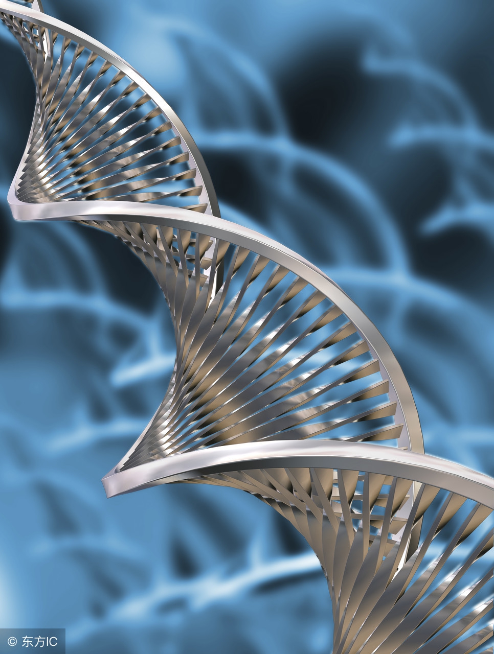 科学方法的内涵,共同富裕的科学内涵是