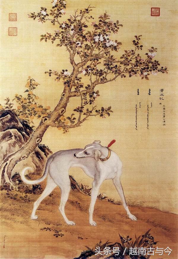 狗年说狗民间关于狗的传说,狗年说狗闲谈中国狗文化