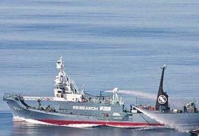 冷知识晚上饿着睡觉会变丑,冷知识饿着肚子睡觉会变丑