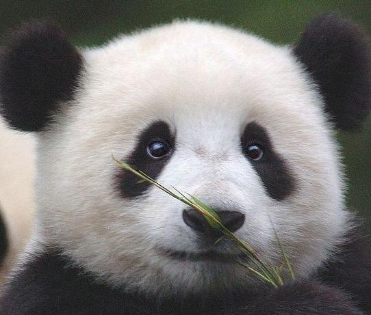 冷知识晚上饿着睡觉会变丑,冷知识饿着肚子睡觉会变丑