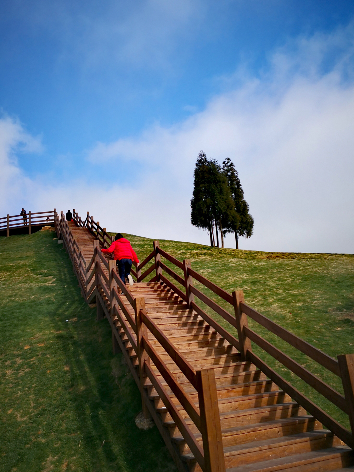温州三八妇女节好玩的地方,温州三八节活动