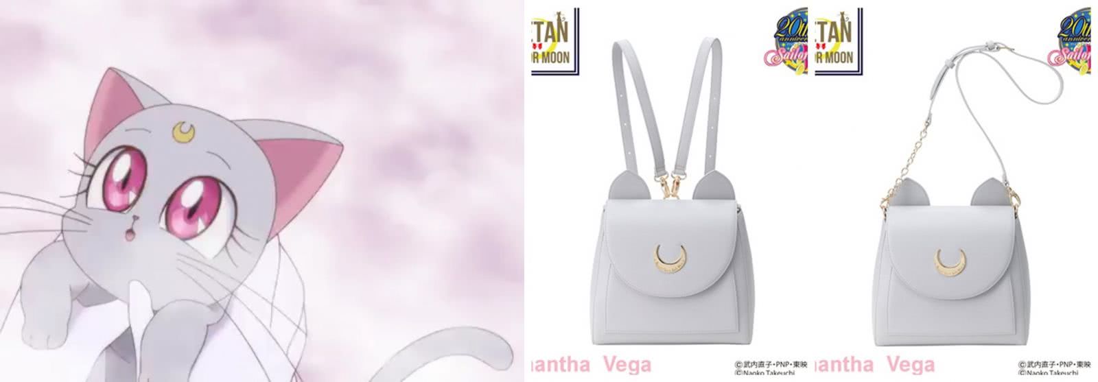 最适合猫咪用的猫包 (猫猫比较适合的猫包)