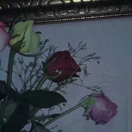 顾城的经典诗句朗读,顾城门前的唯美诗句