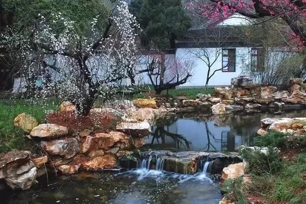 最年味丨赏花、看灯、游古镇！假期剩下两天，推荐周边出游好去处