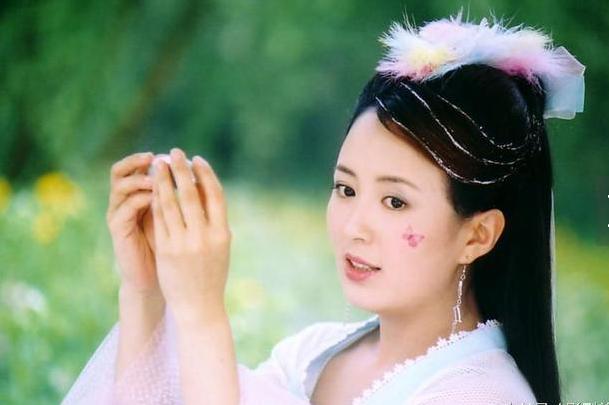 至尊红颜美貌,至尊红颜中有贾静雯吗