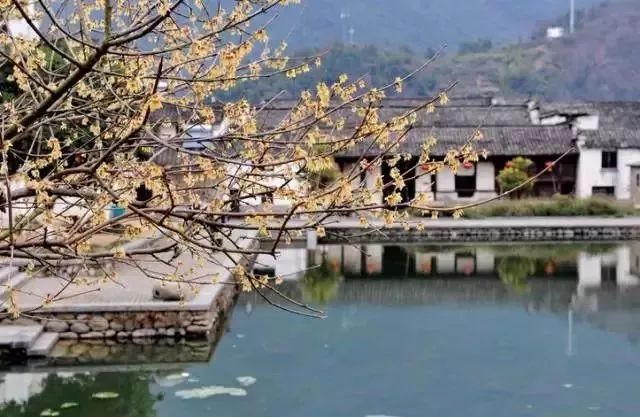 赏花灯游千年古街,游古镇赏花灯品古趣