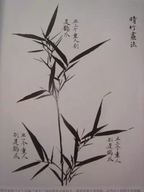 竹子画法教程简单又漂亮,竹子画法的入门教程