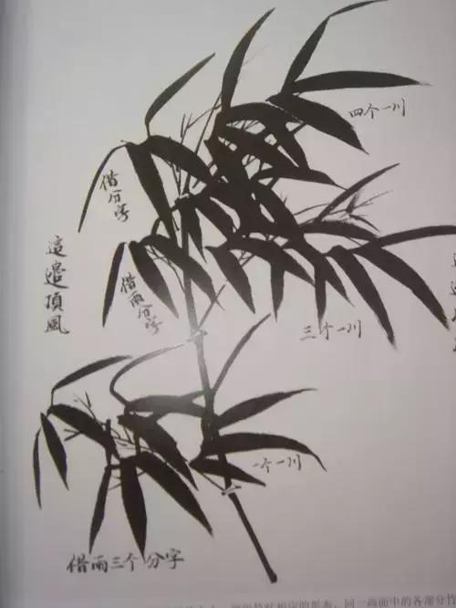 竹子画法教程简单又漂亮,竹子画法的入门教程