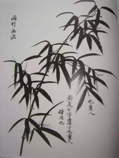 竹子画法教程简单又漂亮,竹子画法的入门教程