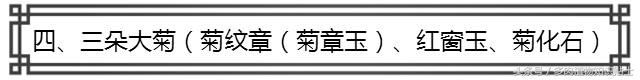 生石花多肉的品种,多肉植物生石花品种大全