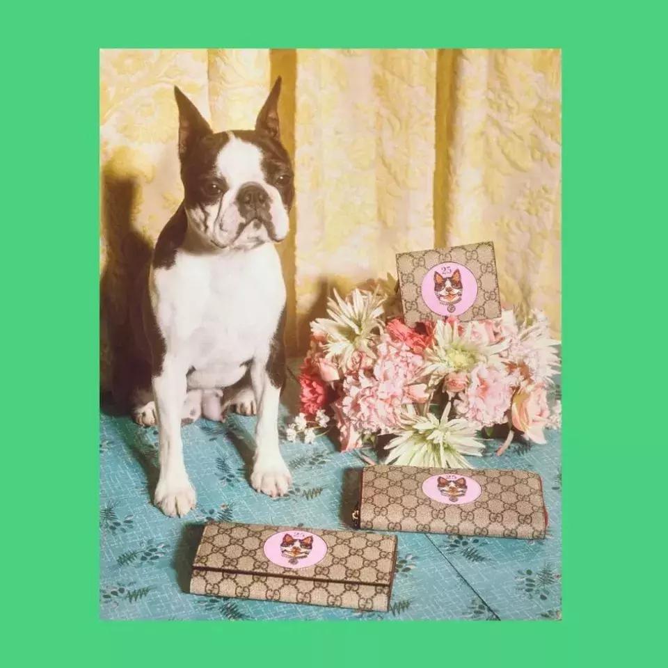 红双喜限定八星,红双喜限定系列