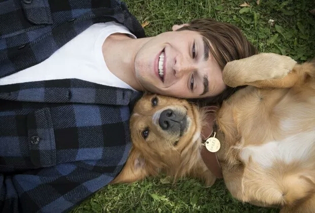 汪星人的电影完整版,十部不能错过的汪星人主题电影