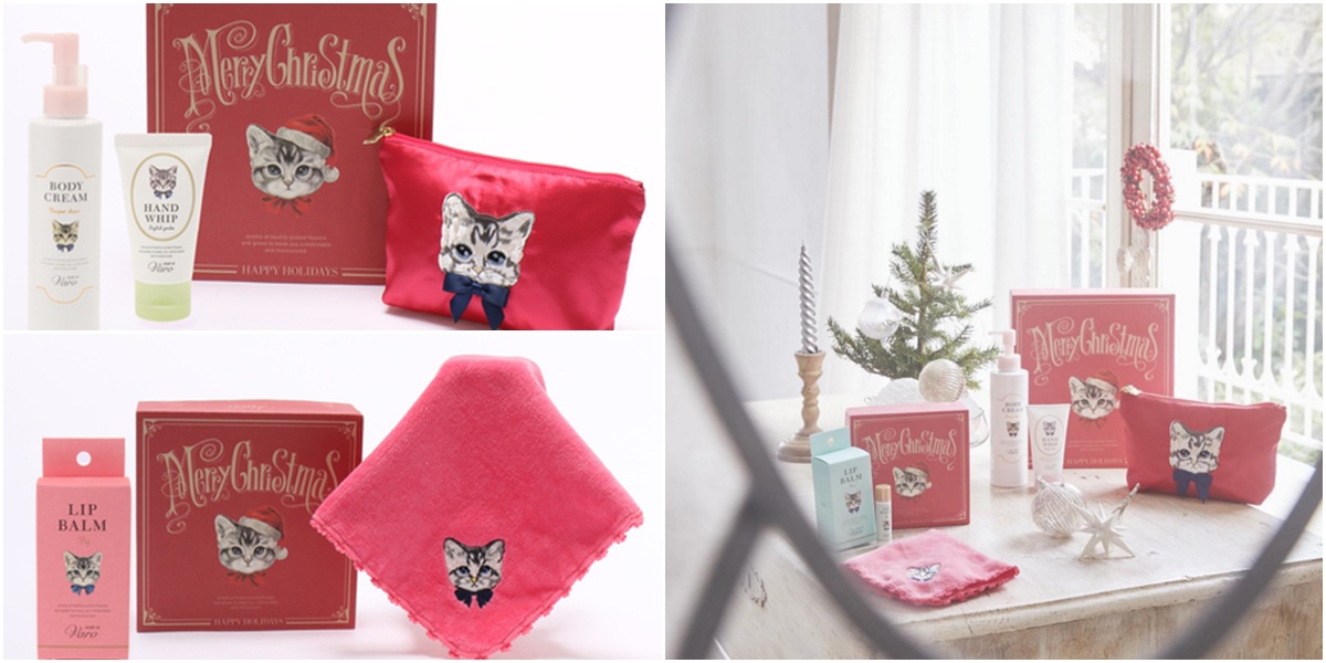 一些非常可爱的猫咪,这些可爱的猫咪让人着迷