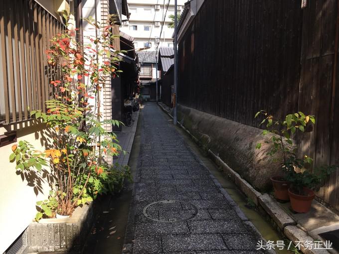 旅行|CoordinateBook06-No.535.0116°N,135.7680°E京都