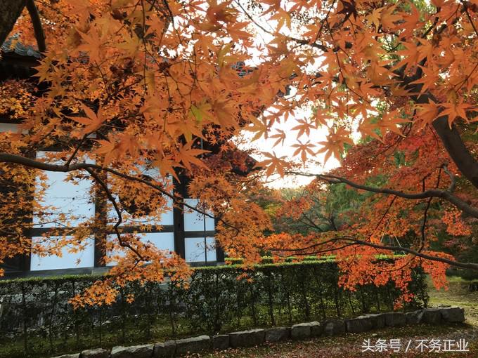 旅行|CoordinateBook06-No.535.0116°N,135.7680°E京都