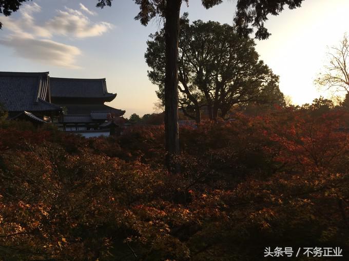 旅行|CoordinateBook06-No.535.0116°N,135.7680°E京都