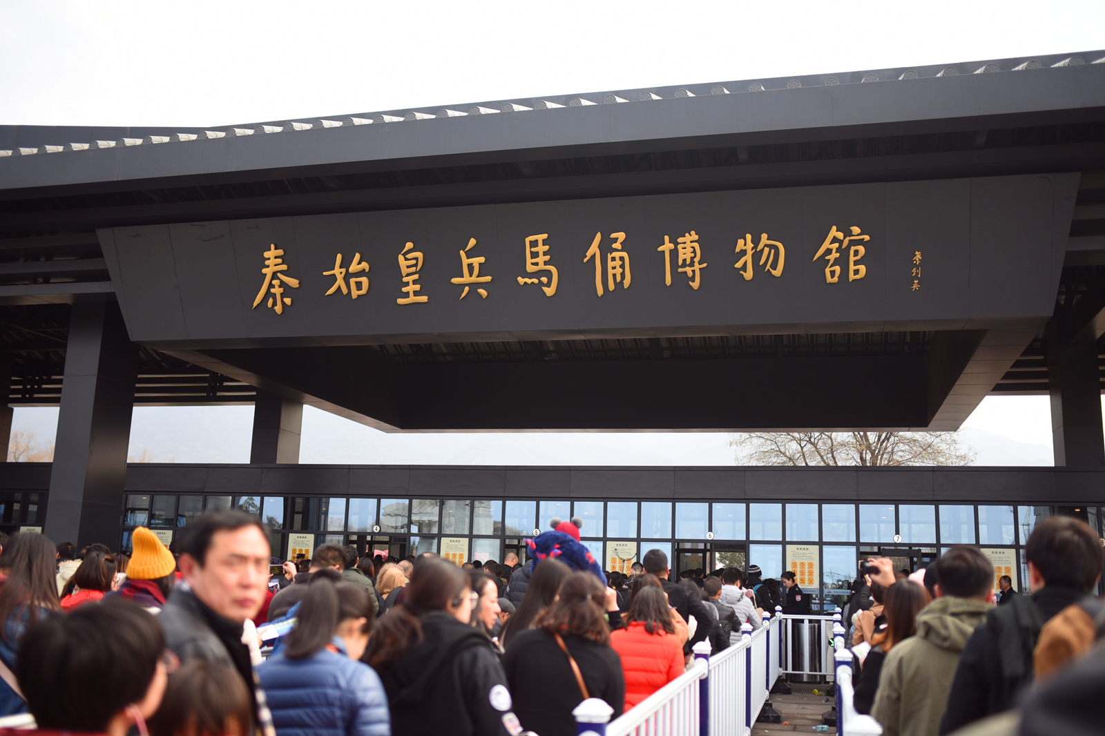 西安兵马俑景区人山人海,11万人挤爆兵马俑景区