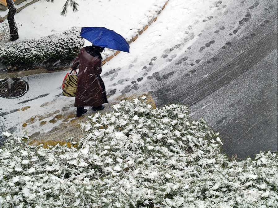 随风飞舞——雪花下武昌街头影像