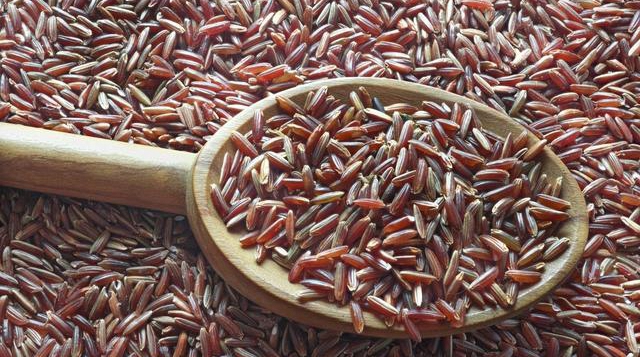 骨质疏松患者要常吃这些食物,治疗骨质疏松吃什么水果