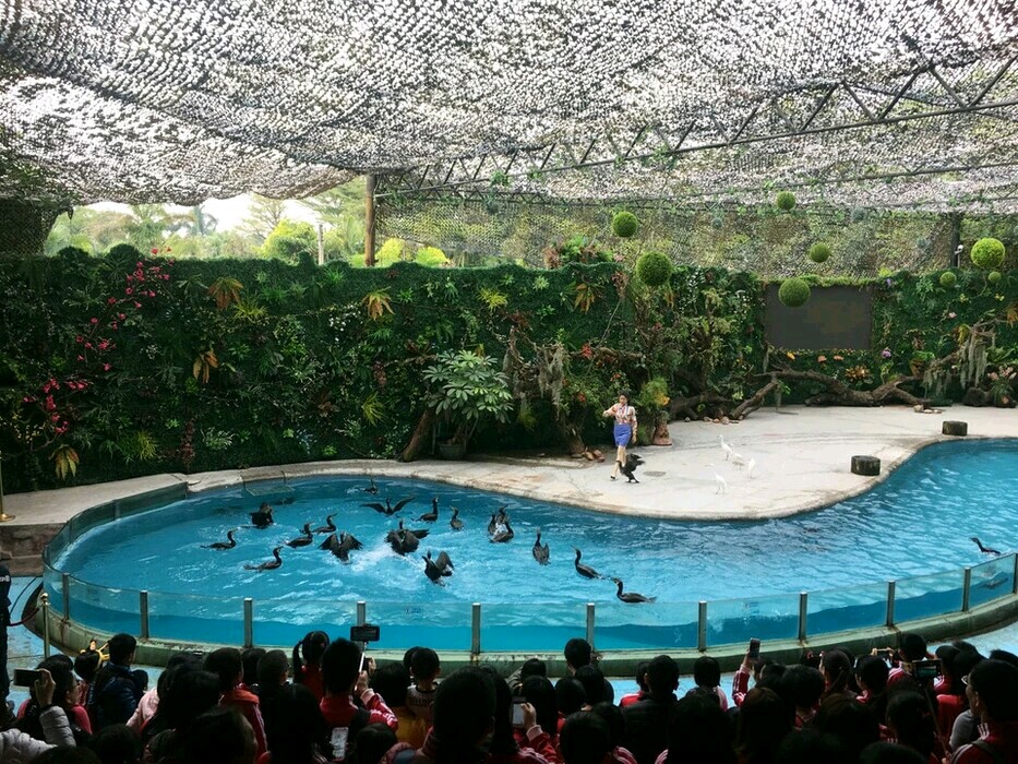 广州长隆飞鸟乐园一日游,广州长隆飞鸟乐园