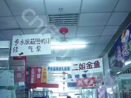 忆天津卫的6大“破烂市儿”，卖书卖花卖宝贝