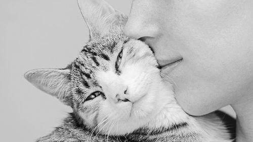 浣犵殑鐚吇鐨勫拫鏍蜂簡,浣犵殑鐚挭椹辫櫕浜嗗悧