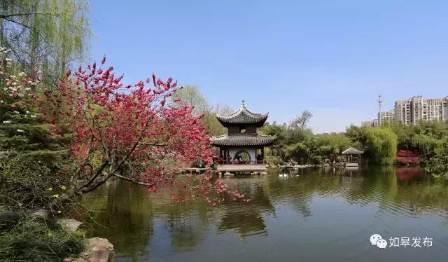 春节临近我为什么不想回家,春节假期返程为什么都不走国道