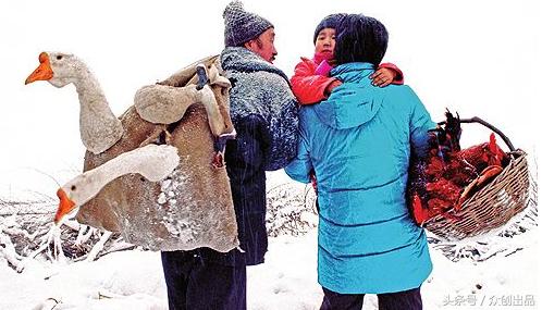 2018戊戌年属狗吉利数,戊戌年狗是哪一年出生