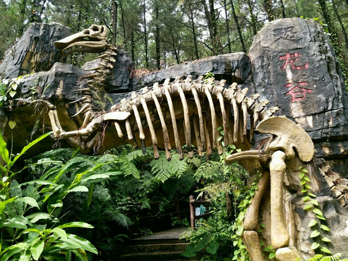 广州佛冈森波拉一日游,佛冈森波拉两日游