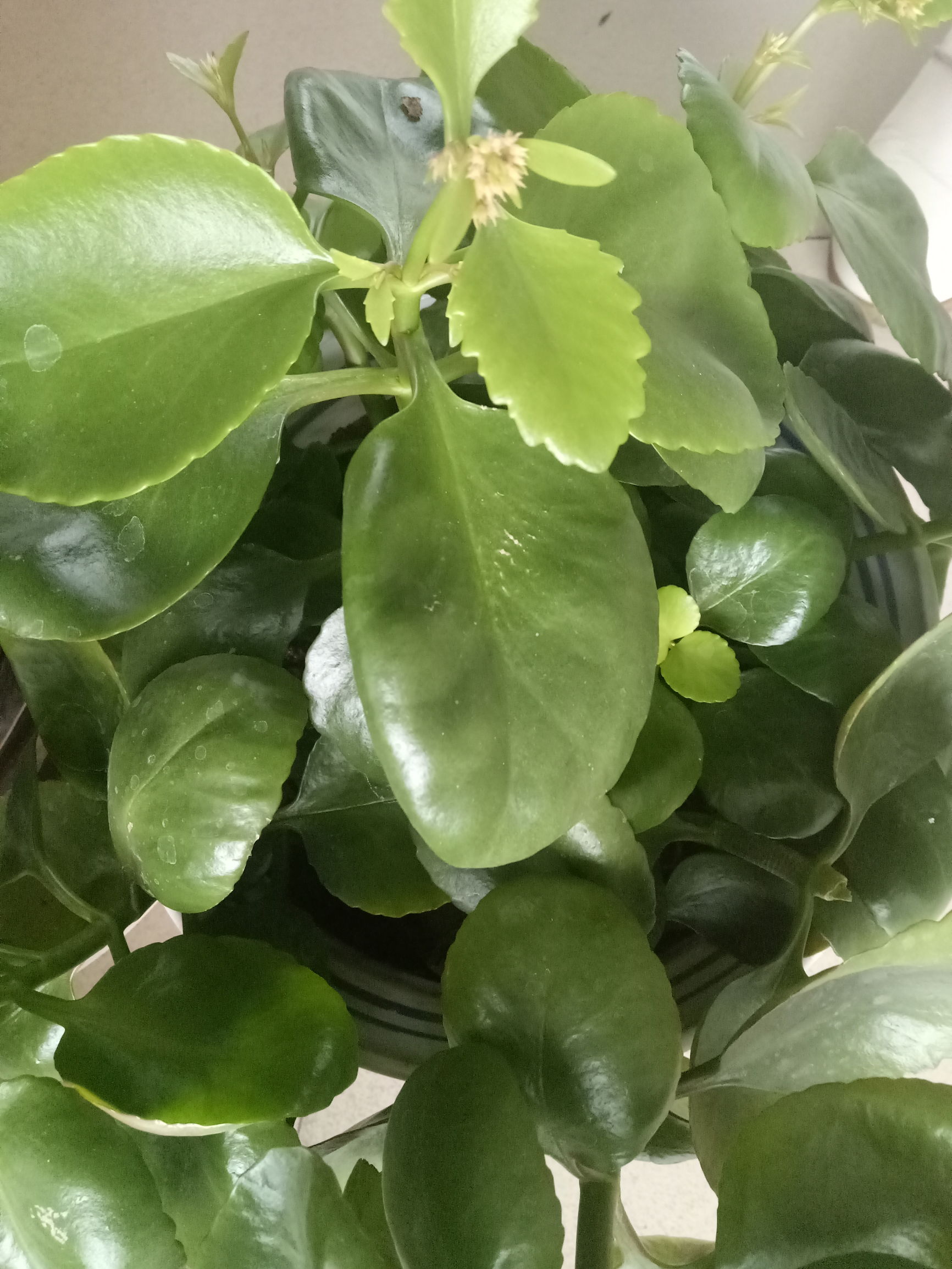 寒冷冬天来杯暖心茶,寒冷冬天里的一杯暖心茶