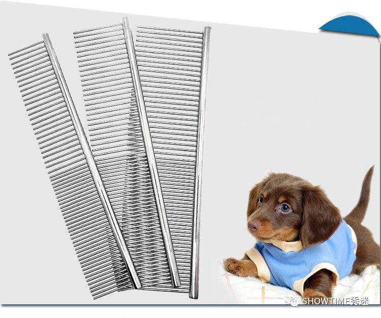 新手铲屎官养宠物该怎么办,怎么成为合格的养狗铲屎官