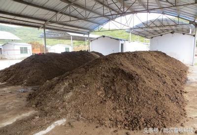 中型有机肥生产线设备厂家直销,小型有机肥生产线需要多少钱