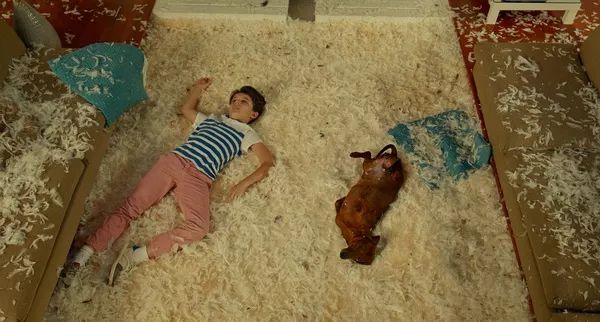 汪星人二哈电影,二哈拍过的电影