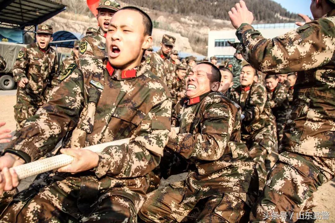 过年“七天最”|“酷炫”活动齐上阵,“年味”“兵味”“战味”哪家浓?