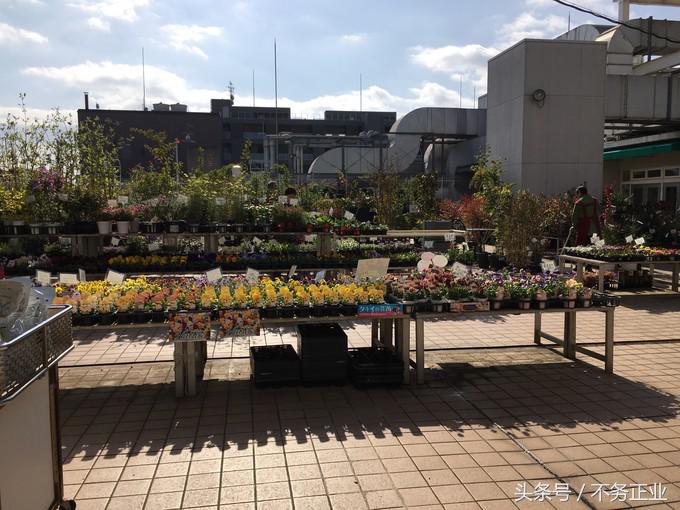 旅行|CoordinateBook06-No.535.0116°N,135.7680°E京都