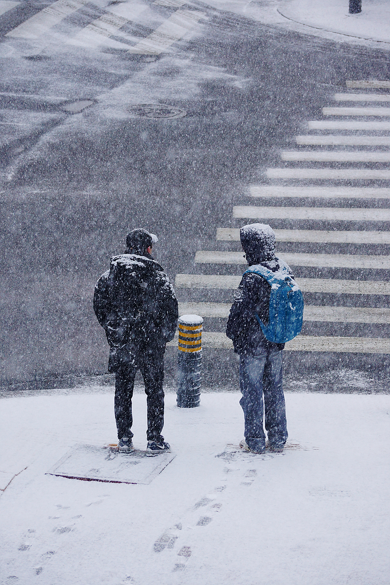 随风飞舞——雪花下武昌街头影像