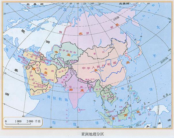 了解狗狗的十大冷知识,狗年狗狗的运势怎么样