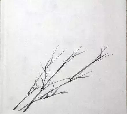 竹子画法教程简单又漂亮,竹子画法的入门教程