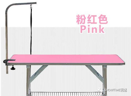 新手铲屎官养宠物该怎么办,怎么成为合格的养狗铲屎官