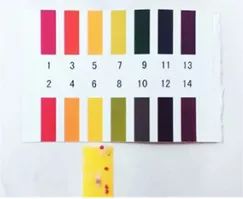 谈判官杨幂发际线黄子韬撩发,谈判官杨幂和黄子韬走出迷宫