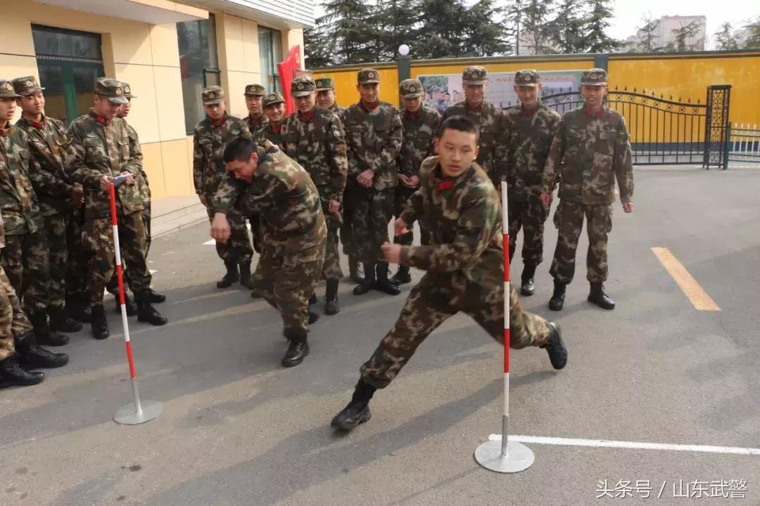 过年“七天最”|“酷炫”活动齐上阵,“年味”“兵味”“战味”哪家浓?