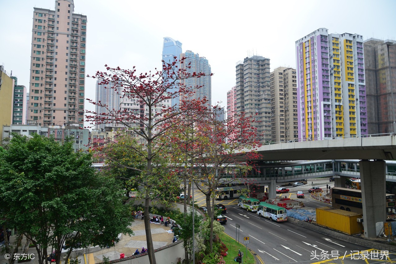 四川各地的车牌字母代表什么,四川车牌头字母是以什么命名