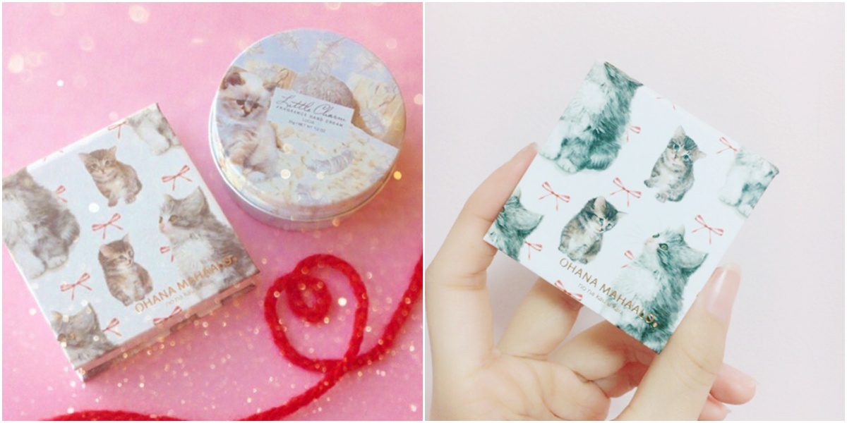 一些非常可爱的猫咪,这些可爱的猫咪让人着迷