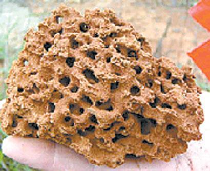 神话故事民间传说麒麟,神话故事五灵王