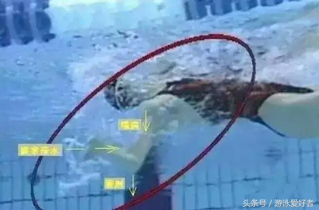 仰泳鼻子爱呛水,仰泳什么时候吸气最好而且不呛水