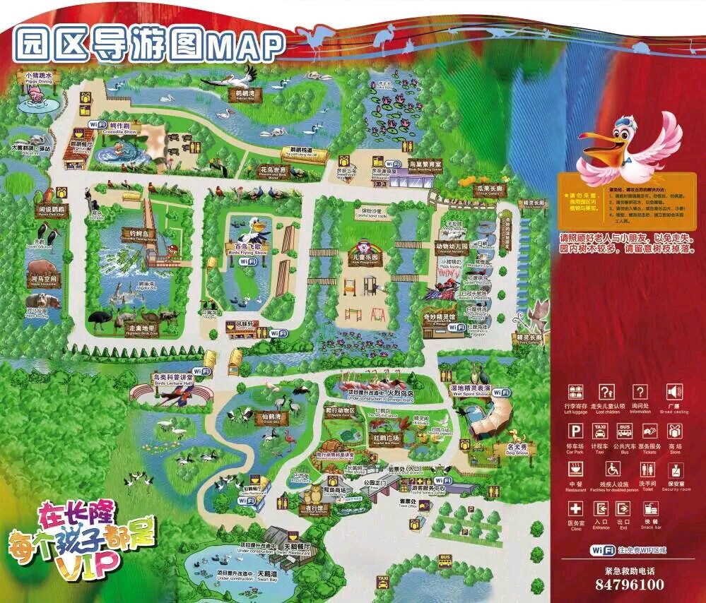 广州长隆飞鸟乐园一日游,广州长隆飞鸟乐园